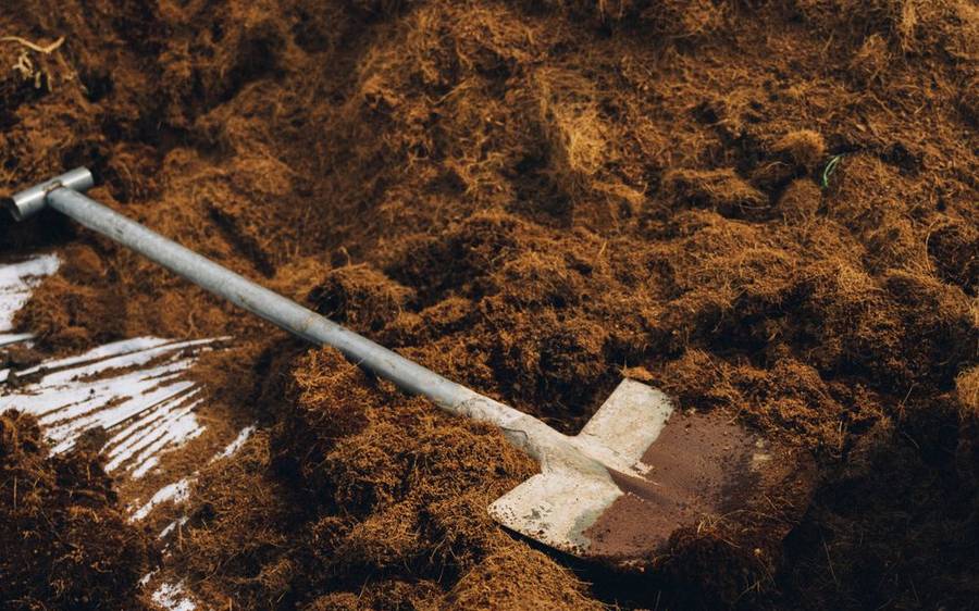 Topsoil